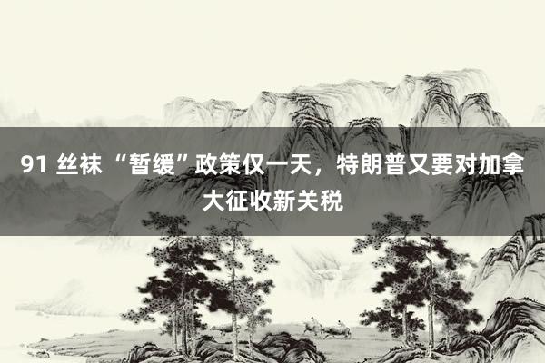 91 丝袜 “暂缓”政策仅一天，特朗普又要对加拿大征收新关税