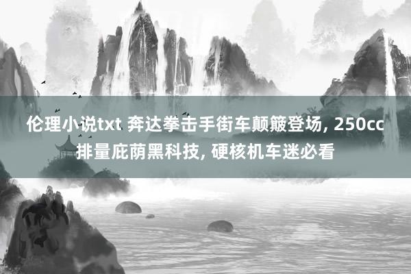 伦理小说txt 奔达拳击手街车颠簸登场, 250cc排量庇荫黑科技, 硬核机车迷必看